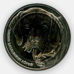 Каталбурун 1 куруш 2021 Турция (сост. UNC)