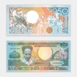 Банкнота 250 гульденов 1988 Суринам (сост. UNC)