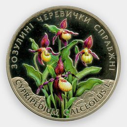 Башмачок настоящий 2 гривны 2016 Украина