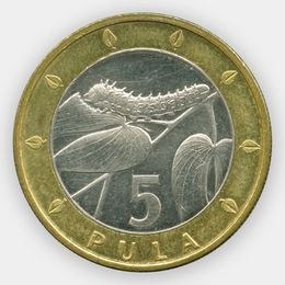 5 пул 2000 Ботсвана (сост. XFine)