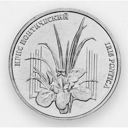 Ирис понтический 1 рубль 2024 Приднестровье (сост. UNC)