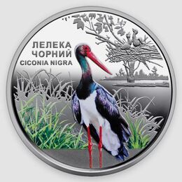 Чёрный аист 5 гривен 2024 Украина