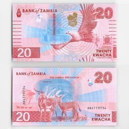 Банкнота 20 квача 2024 Замбия (UNC)