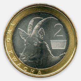 2 квачи 2024 Замбия (UNC)