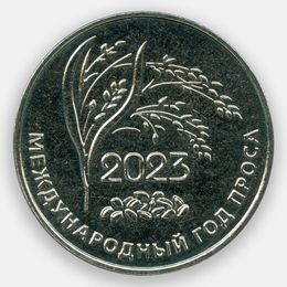 Международный год проса 25 рублей 2023 Приднестровье