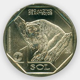 Очковый медведь 1 соль 2017 Перу