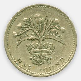 1 фунт 1989 Великобритания (Fine)