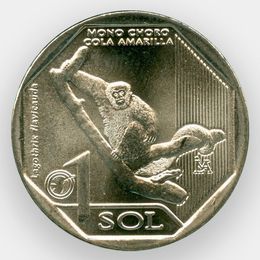 Желтохвостая обезьяна 1 соль 2019 Перу