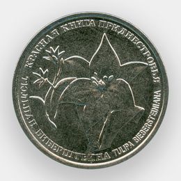 Тюльпан Биберштейна 1 рубль 2019 Приднестровье