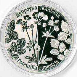 Лапчатка скальная 1 рубль 2017 Белоруссия