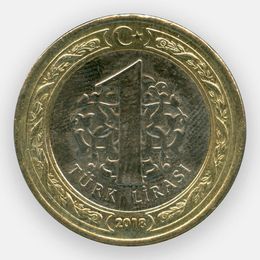 1 лира 2009-2020 Турция (сост. Very Fine)