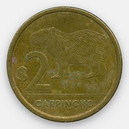 2 песо 2011-2019 Уругвай (сост. Very Fine)