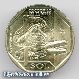 Острорылый крокодил 1 соль 2017 Перу