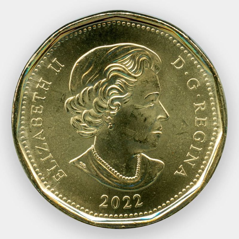 Стоимость доллара 2022. Канада 1 доллар 2022 Оскар Питерсон. Канада 1 доллар 2022. Монеты Канада 2022. Канада $1 2022 Оскар Питерсон цветная и простая.