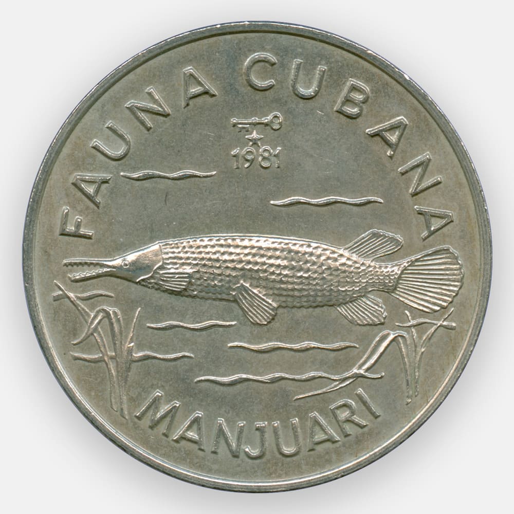 Кубинская монета. Песо Куба монета. Монеты Кубы фауна. Монетка с Кубы. Монеты на Кубе.